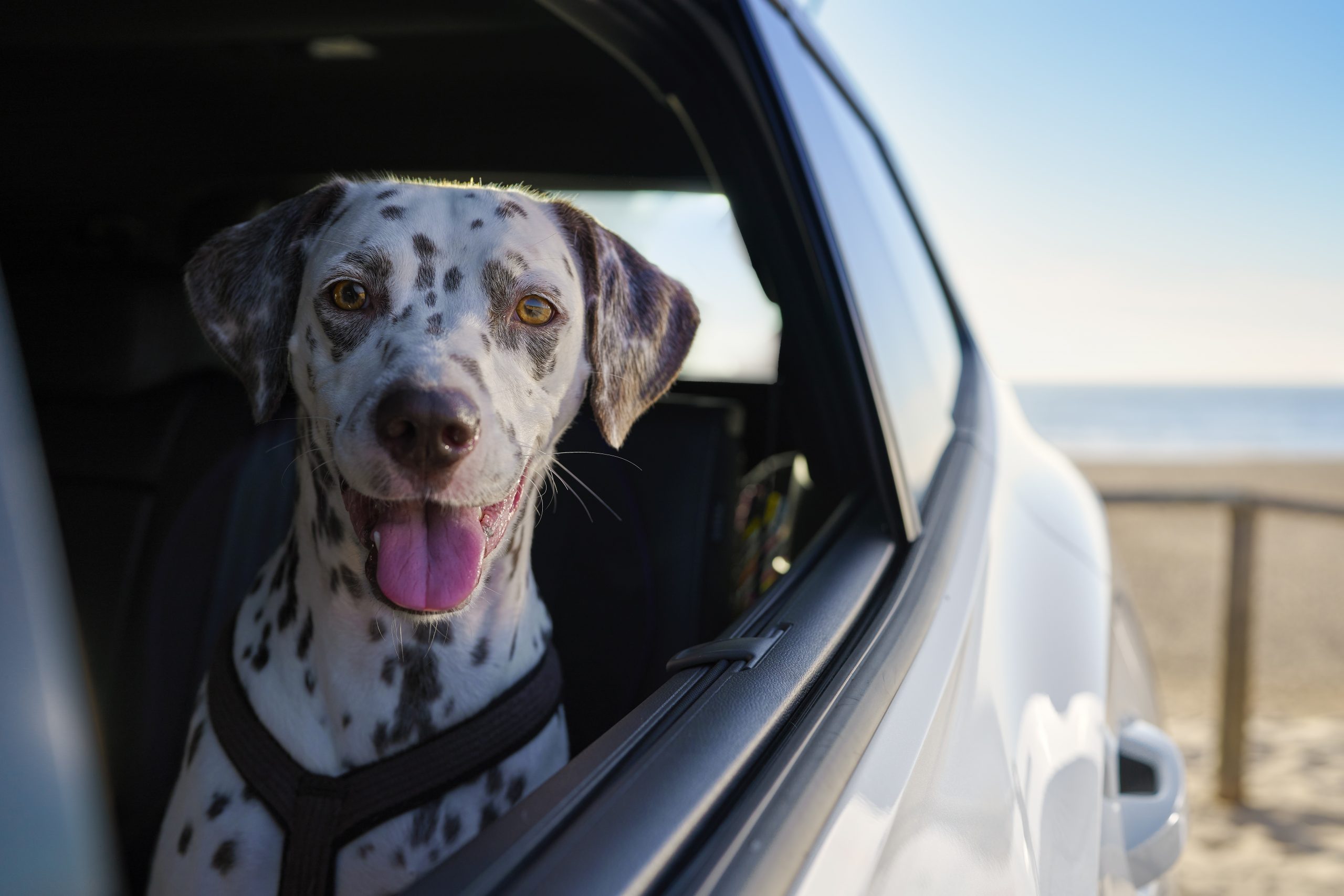 Charging_324_Exposed_v008