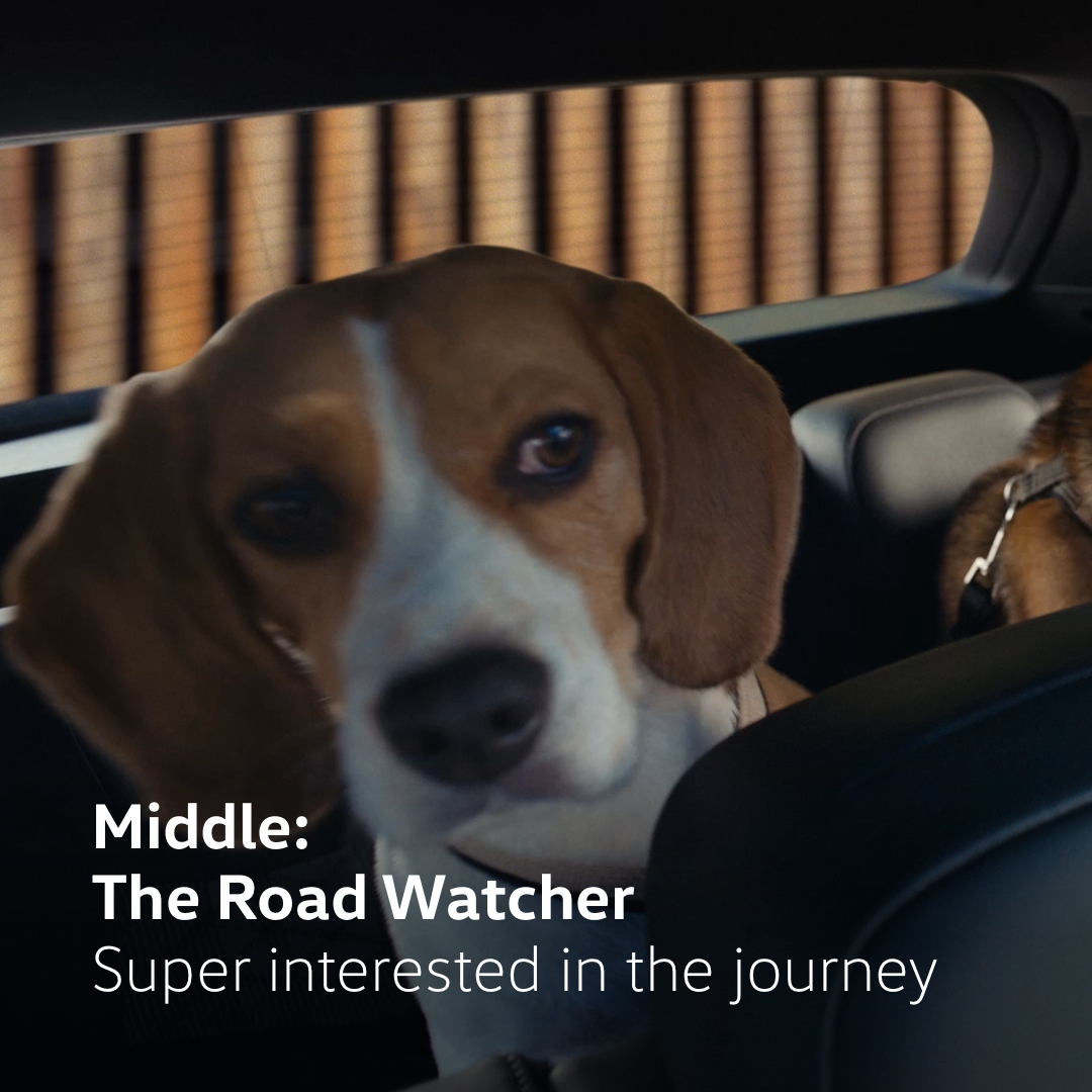 Tayron_Launch_Newsfeed-Post_Asset_TY_06_1-1_Frame_04_EN