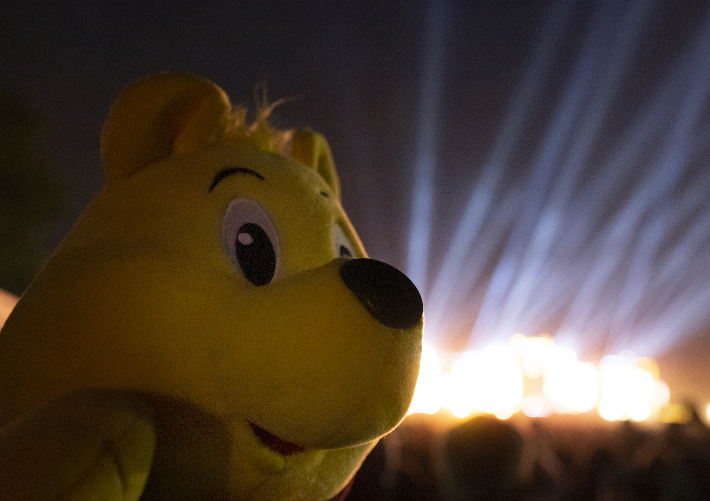 Haribo_Wacken_Baer_A5_300dpi_flat